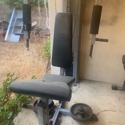 FREE Exercise 