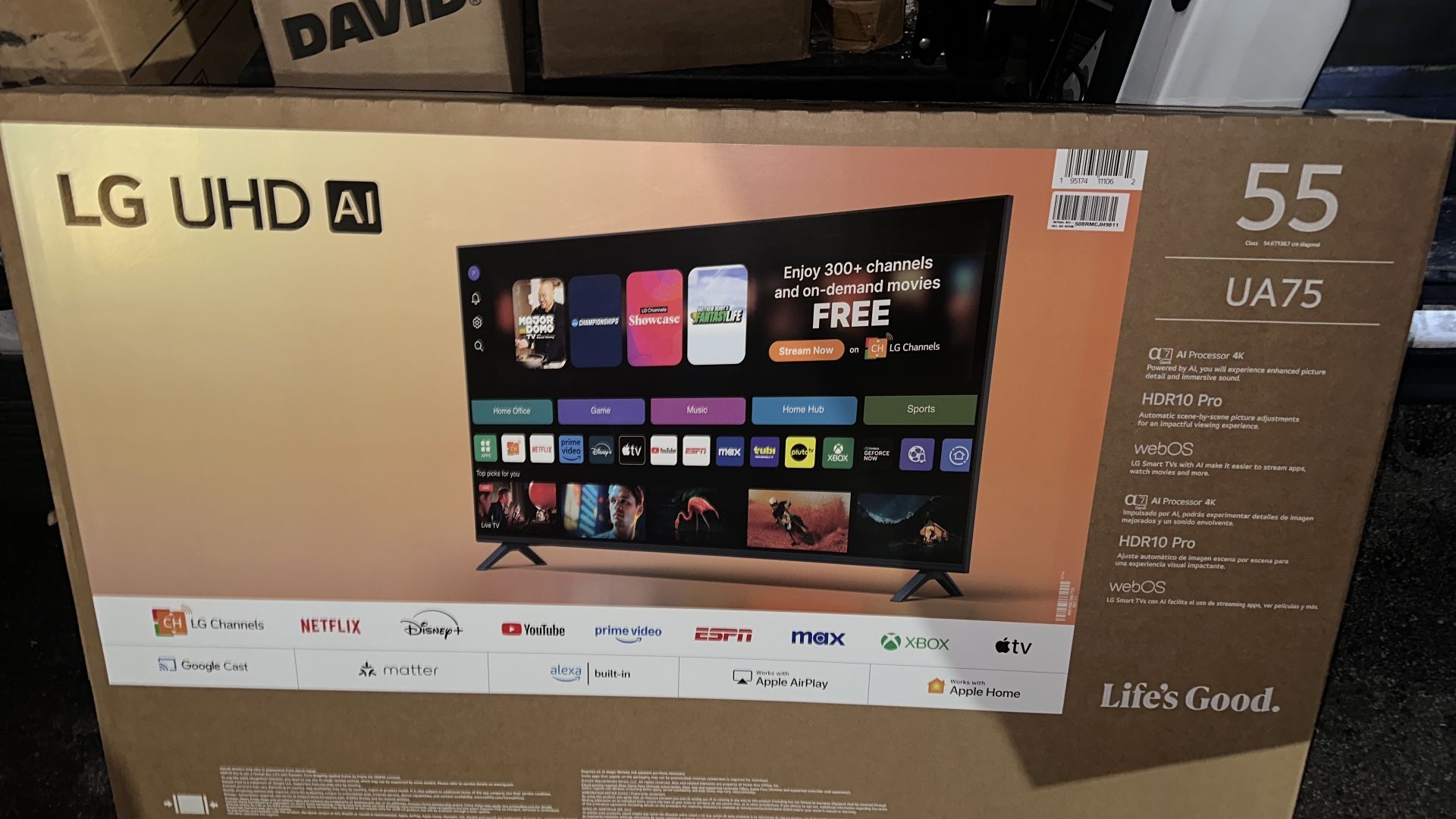 LG 55 Pulgada 
