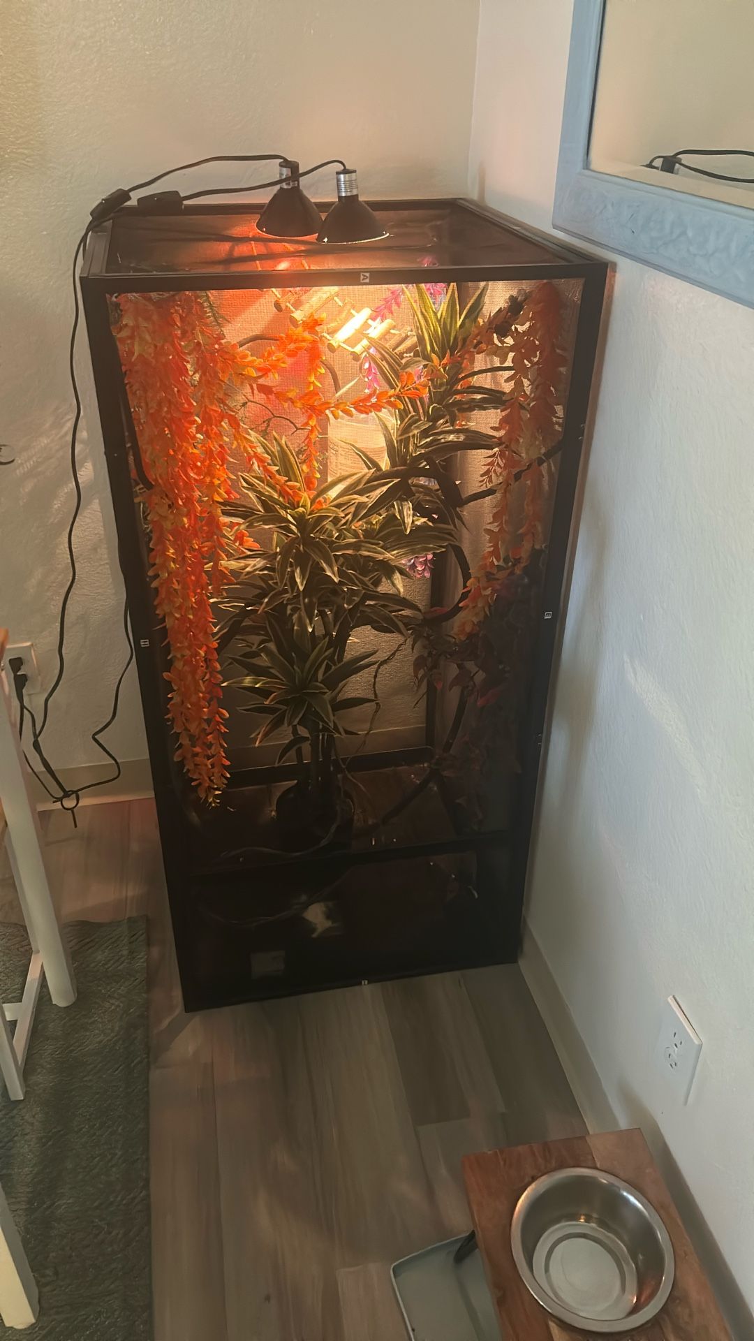 Chameleon Cage