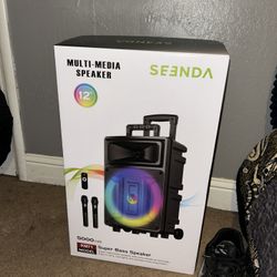 Speaker With 2 Microphones 