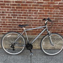Speed bike – 20” Frame 🚴
