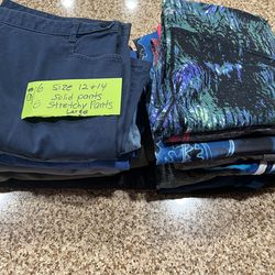 😀 six size 12 and 14 women’s pants and eight stretchy pants size large😀