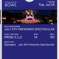 Beach boys ticket (1)