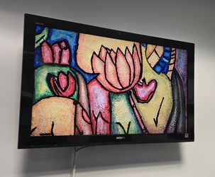 Sony Bravia TV