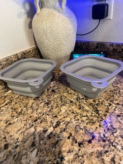 Dog portable water tray