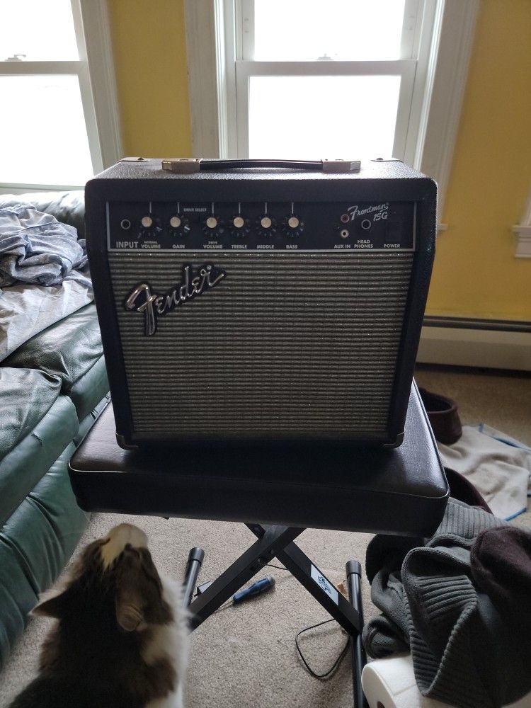 Fender Frontman 15G Amp