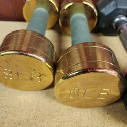 Gym Weights Dumbbells $15 Pair Firm Price 