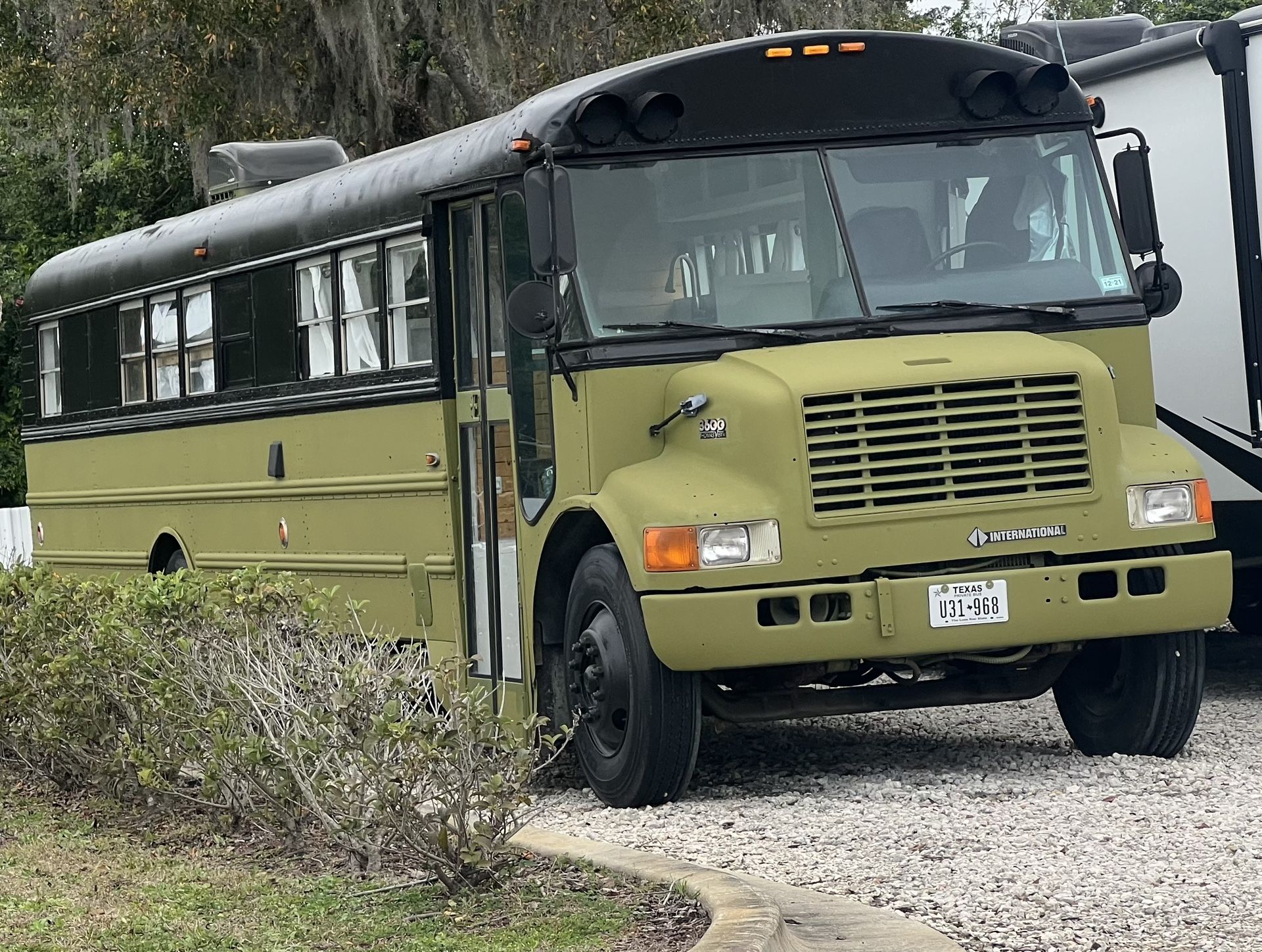1997 international Thomas Vista Skoolie