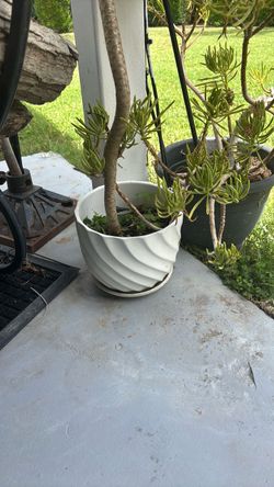 Two White pottery pot