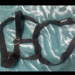 Dog Harness
