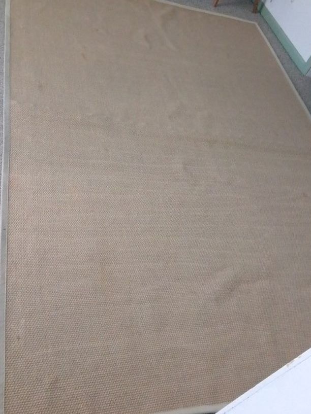 Flat Woven In Door Or Out Door Area Rug 6x9