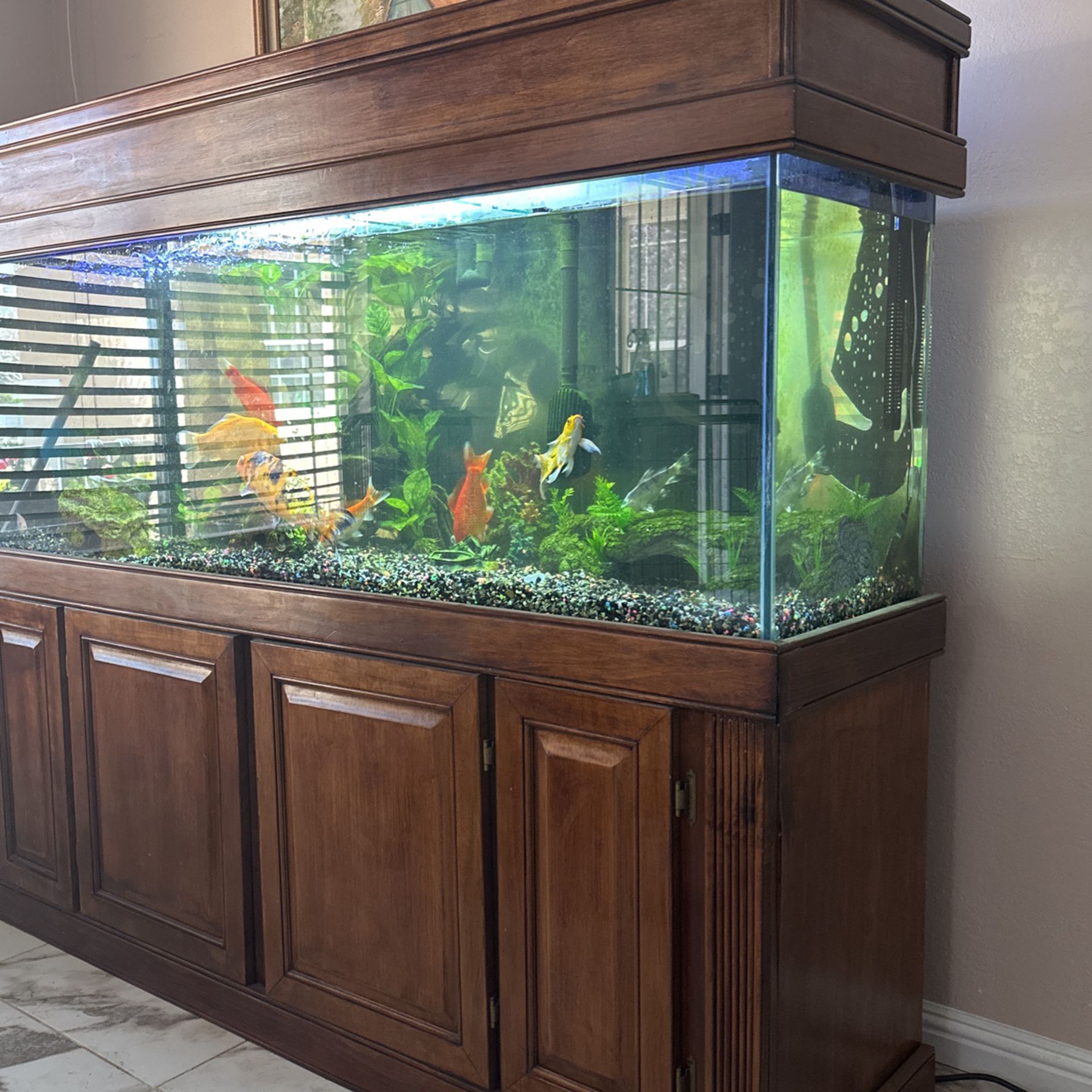 180gallon fish tank