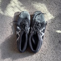 Wrestling Shoes 