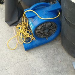 Professional Blower