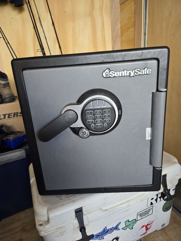 Sentry Safe Electronic Safe