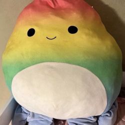 Squishmallow  Like New $25 