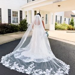 Cathedral Veil 