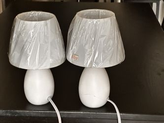 2 Lamps Can Be Painted