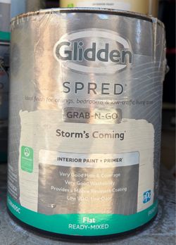 1 gallon interior paint + primer white