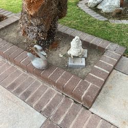 Outdoor Animals