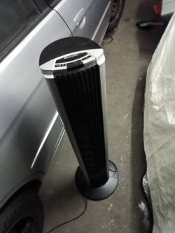 Fan