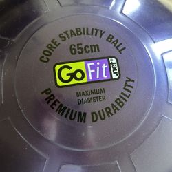 Go Fit Core Stability Ball