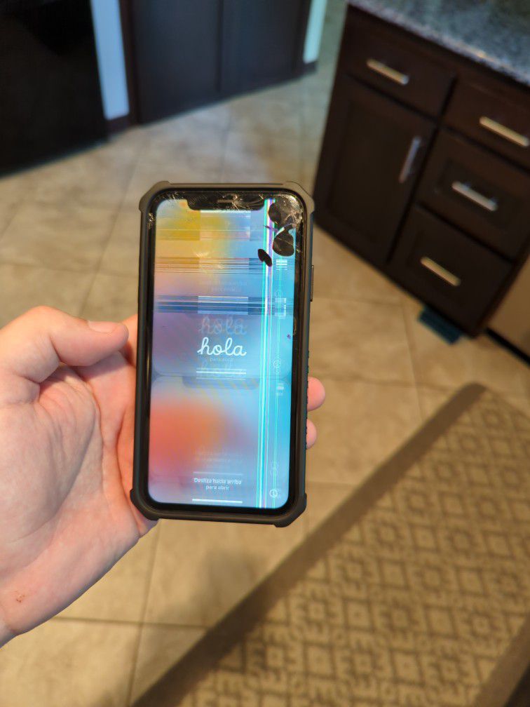iPhone 11 with Case