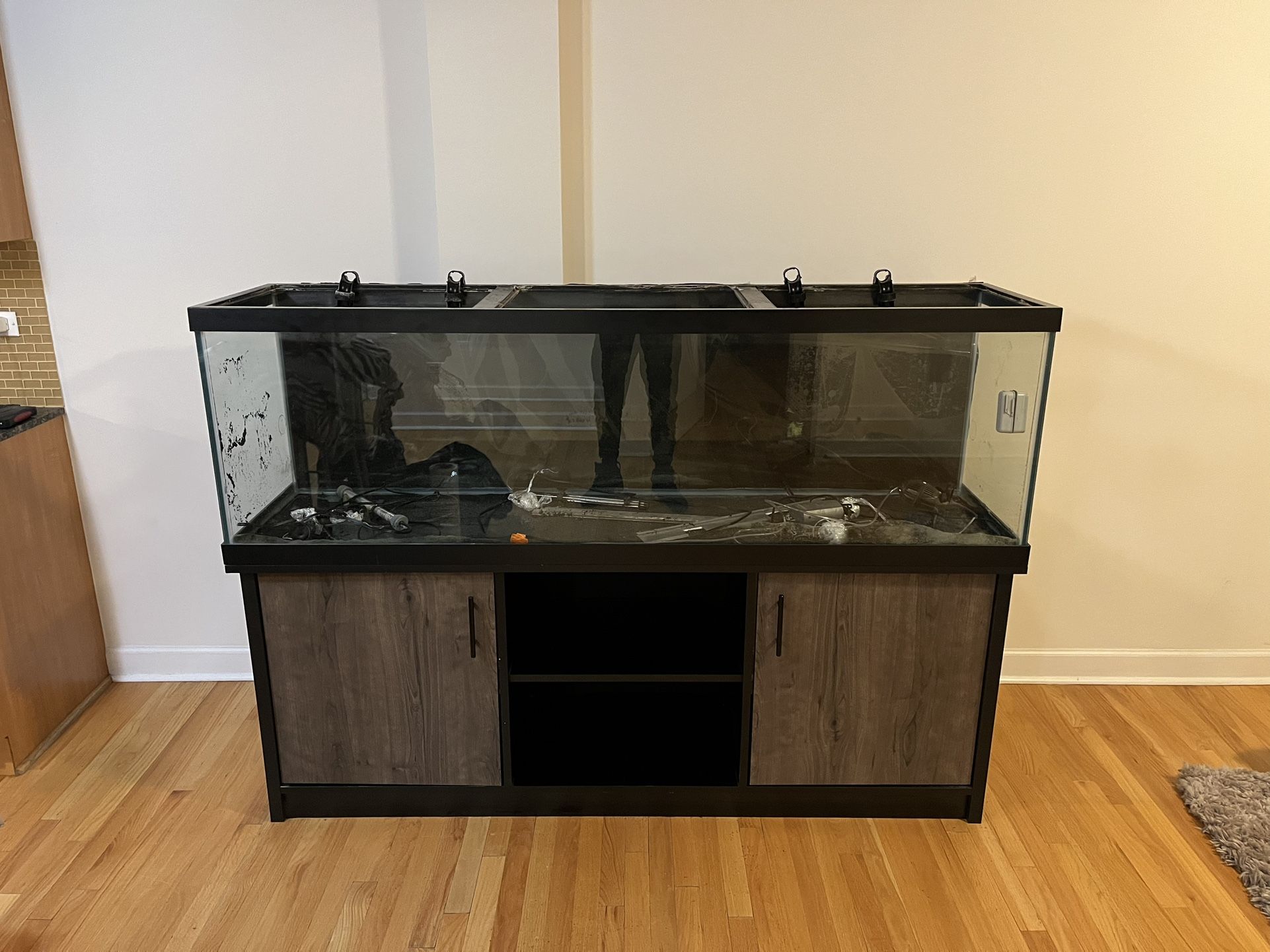 125 Gallon Aquarium Setup w/ Fluval FX4 + FX6 – Full System – Must Go (Chicago)