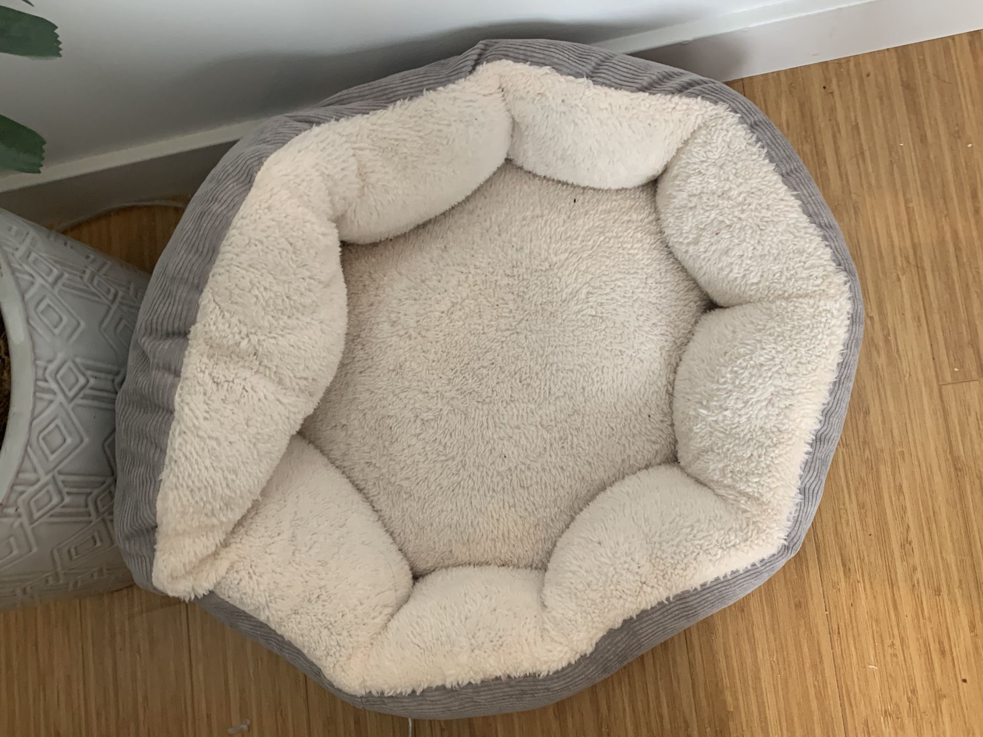 Dog Bed