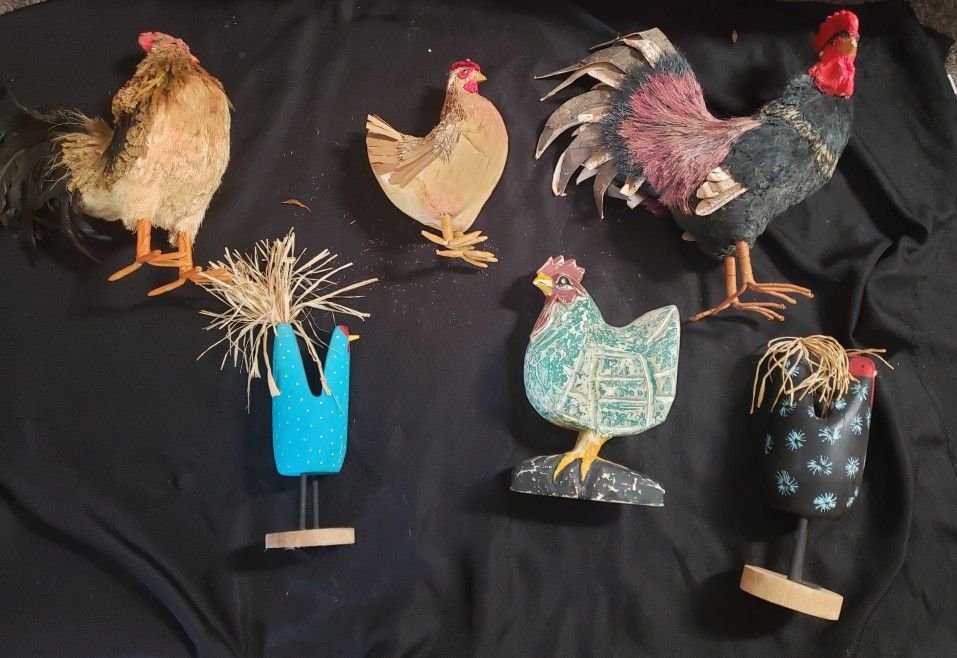 $60 Obo. 6 Roosters & Hens