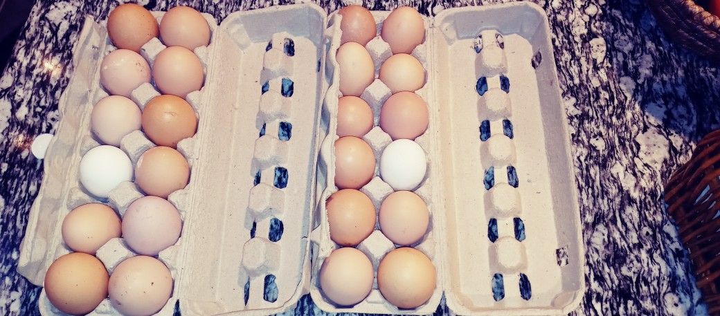 Fresh eggs by the dozen 