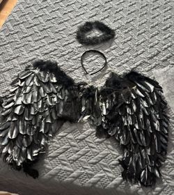 Dark Angel Costume