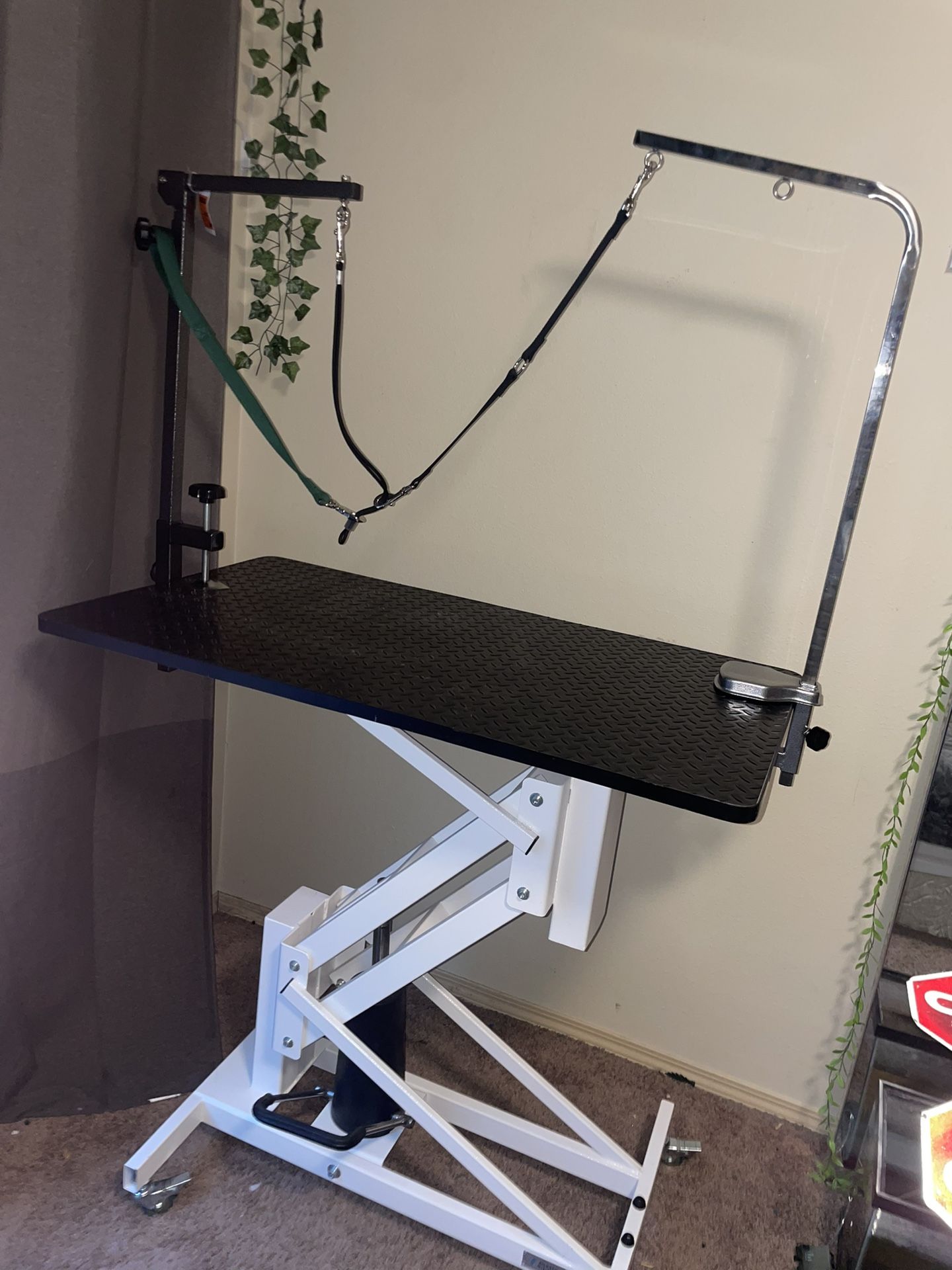 Pet Grooming table/check up table