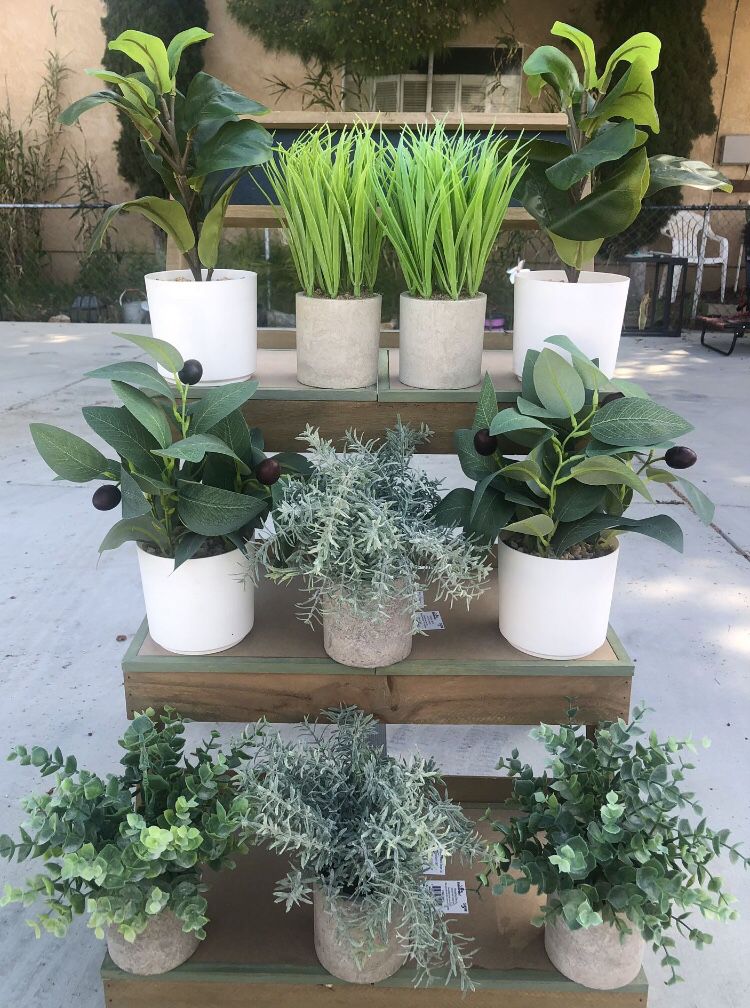 Home Decor Tabletop Potted Greenery/Grass Plants Bundle Of 10