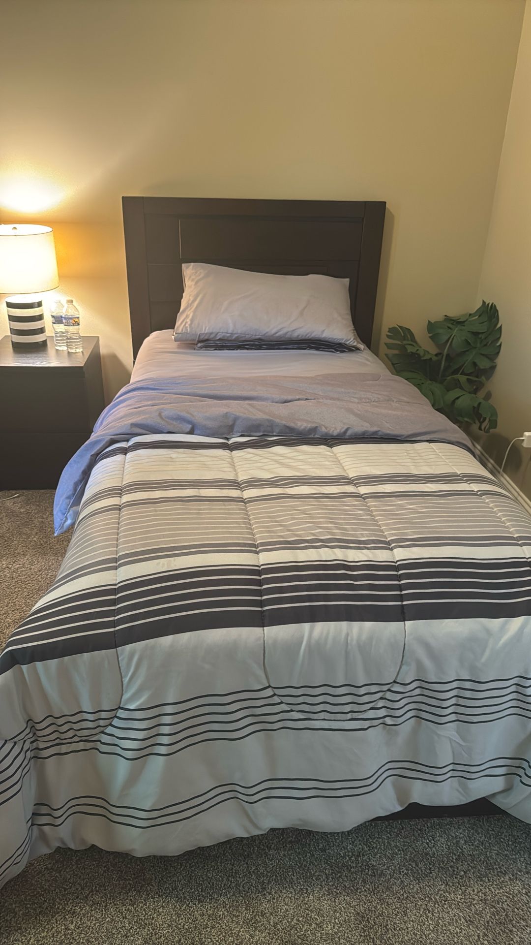 Twin Size Beds