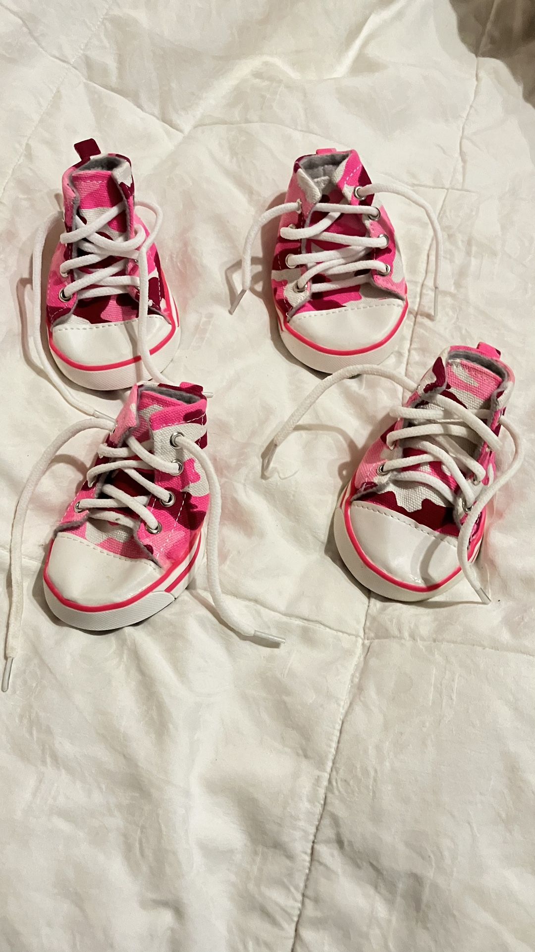 Dog Shoes
