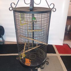 1900s Vintage Wrought Iron Bird Cage
