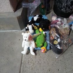 I Have Lots Of Beanie Babies For Sale With Tags Original Beanie Babies