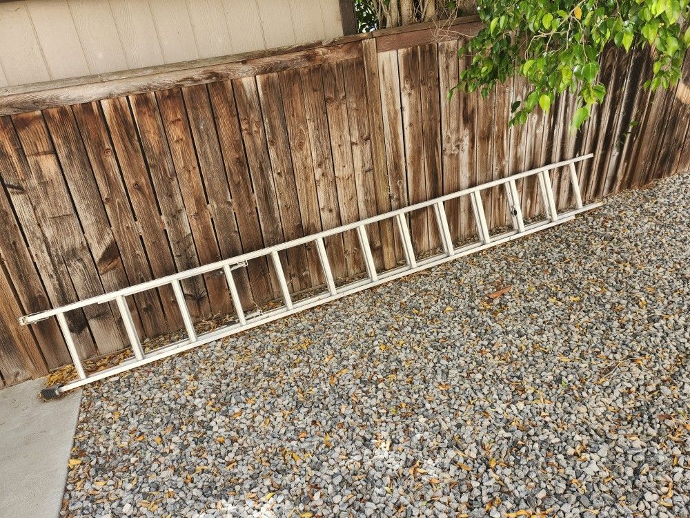 25 Ft Ladder