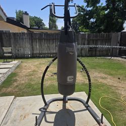 Everlast Punching Bag