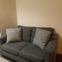 Grey Couch Love Seat 3x6 