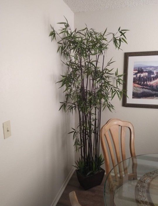 Fake Bamboo Plant
