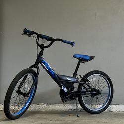 TREK 20” Wheel Size Kids Bike
