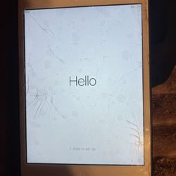 Apple iPad Mini