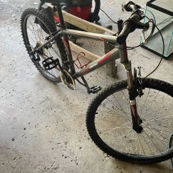Nishiki Mountain Bike 
