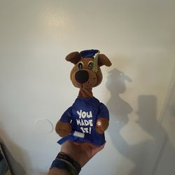 Graduation Dog 