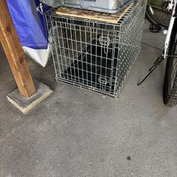 Dog Cage 
