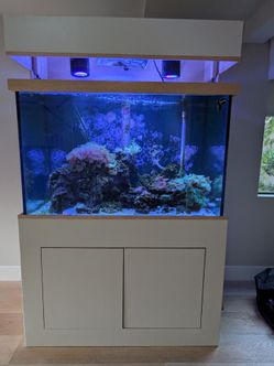 Full custom aquarium