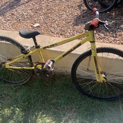 Redline Mini Mid-school Bmx Bike