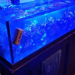 saltwater 50 gallon open rim